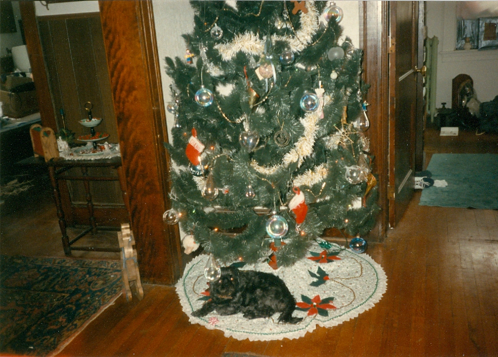 Christmas 1988 - Ghenghis Khan in our apartment.